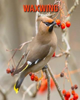 Book cover for Waxwing