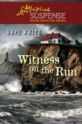 Cover of Witness On The Run