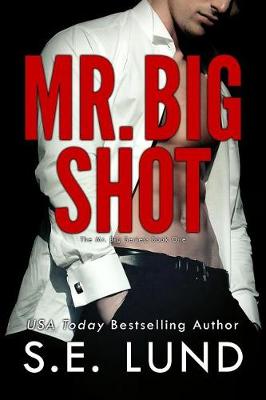 Book cover for Mr. Big Shot
