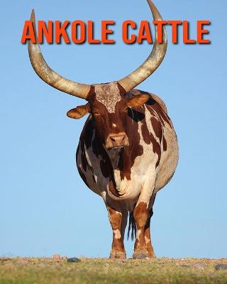 Book cover for Ankole Cattle