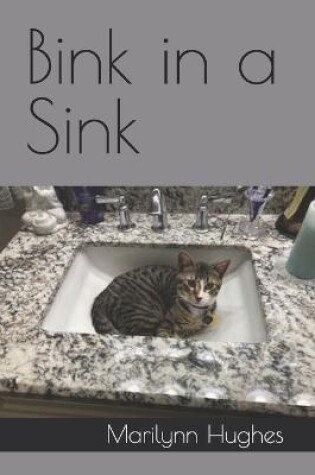 Cover of Bink in a Sink