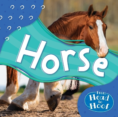 Cover of Horse