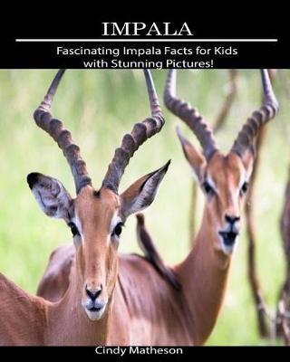 Book cover for Impala