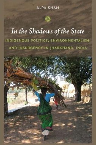 Cover of In the Shadows of the State