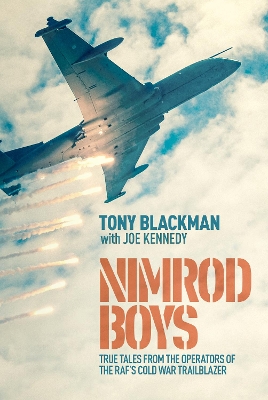 Book cover for Nimrod Boys