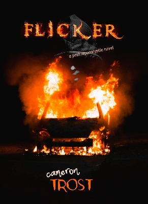 Book cover for Flicker