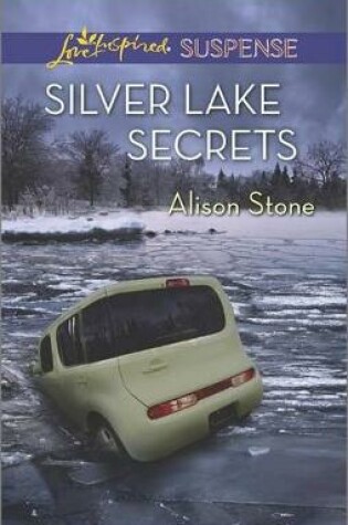 Cover of Silver Lake Secrets
