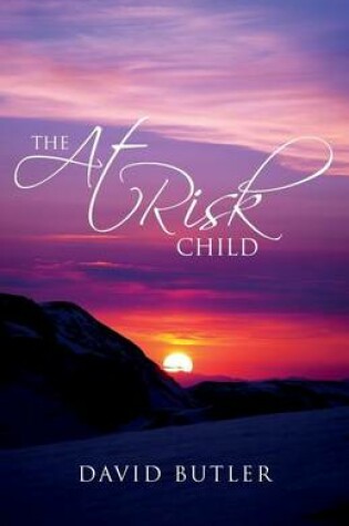 Cover of The At Risk Child