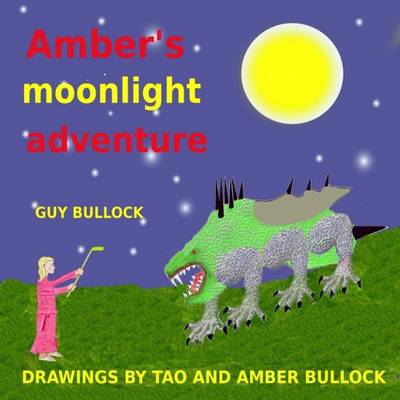 Book cover for Amber's moonlight adventure