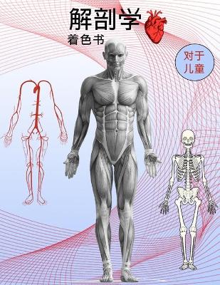 Book cover for 解剖学涂色书