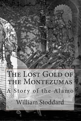 Book cover for The Lost Gold of the Montezumas