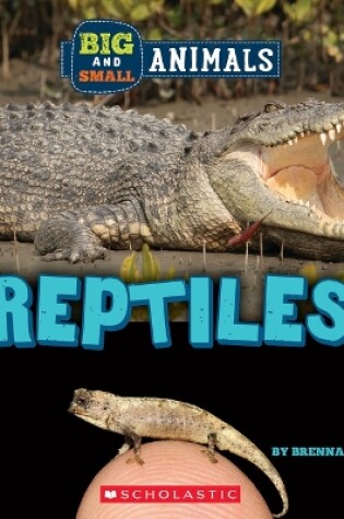 Cover of Reptiles (Wild World: Big and Small Animals)