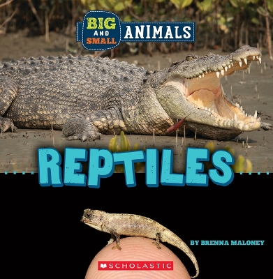 Book cover for Reptiles (Wild World: Big and Small Animals)