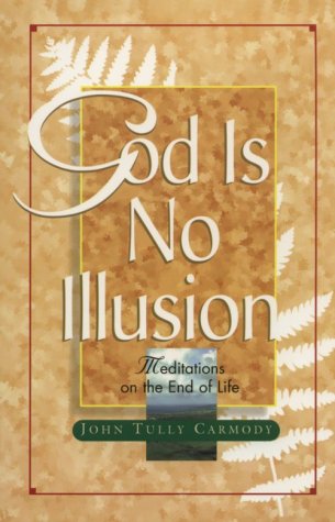 Book cover for God is No Illusion