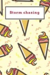 Book cover for Storm chasing