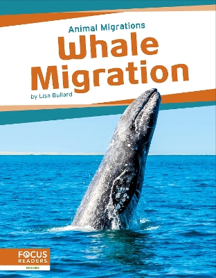 Book cover for Animal Migrations: Whale Migration