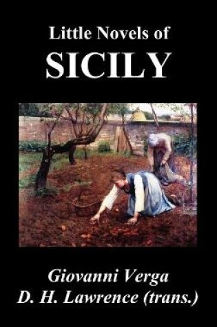 Cover of LITTLE NOVELS OF SICILY (Novelle Rusticane)