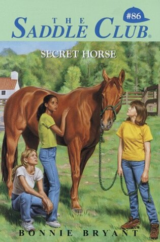Cover of Secret Horse