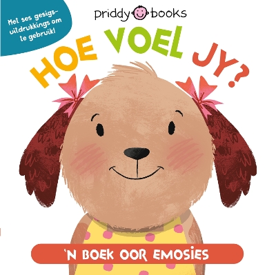 Book cover for Hoe voel jy?