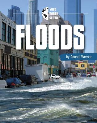 Cover of Floods