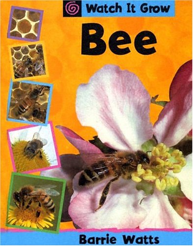 Book cover for Bee