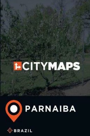 Cover of City Maps Parnaiba Brazil