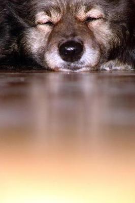 Book cover for Keeshond Napping on the Floor Journal