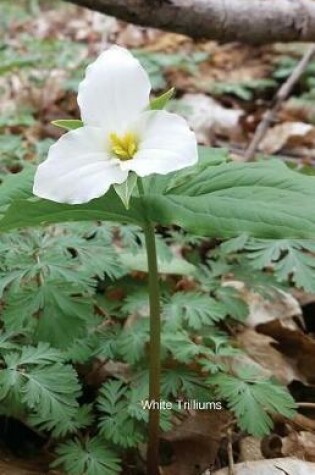 Cover of White Trilliums