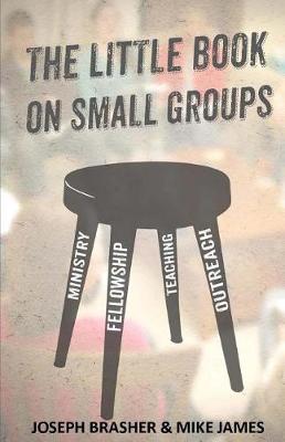 Book cover for The Little Book on Small Groups