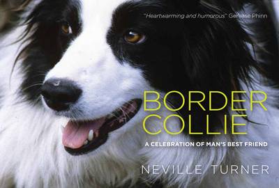 Book cover for Border Collie