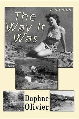 Cover of The Way It Was