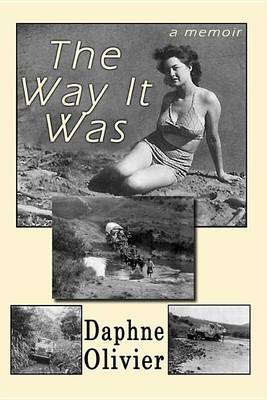 Book cover for The Way It Was