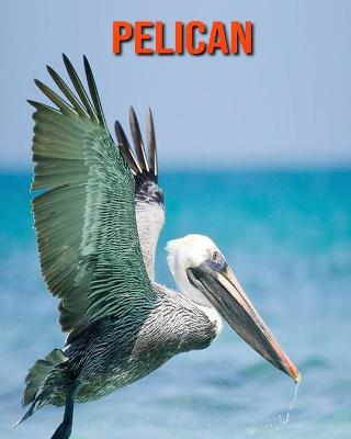 Book cover for Pelican