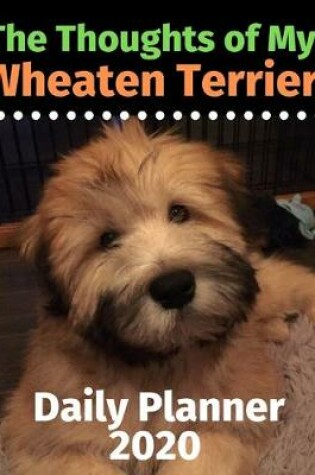 Cover of The Thoughts of My Wheaten Terrier