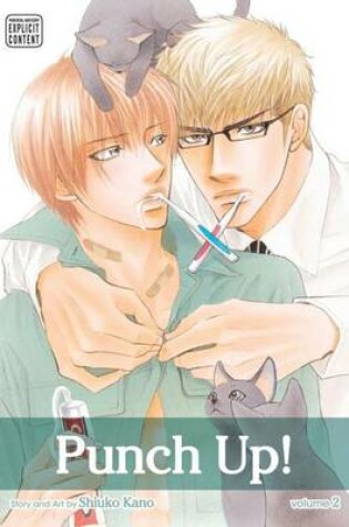 Cover of Punch Up!, Vol. 2