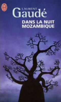 Book cover for Dans la nuit Mozambique