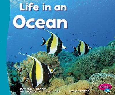 Book cover for Life in an Ocean (Living in a Biome)