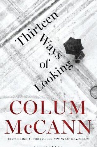 Cover of Thirteen Ways of Looking