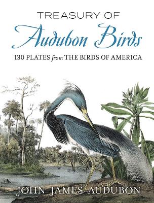 Book cover for Treasury of Audubon Birds