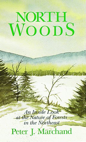 Book cover for North Woods