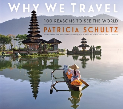 Book cover for Why We Travel