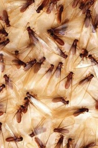 Cover of Insect Journal Termites Swarm Entomology