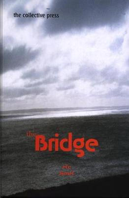 Book cover for Bridge, The