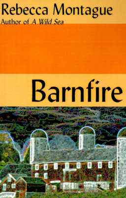 Book cover for Barnfire