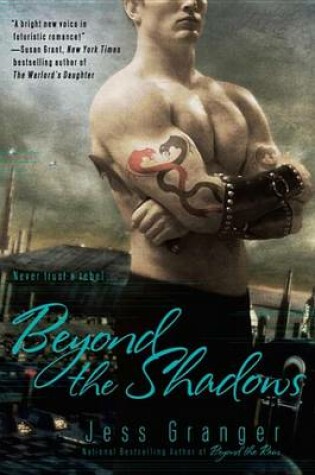 Cover of Beyond the Shadows