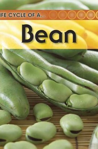 Cover of Broad Bean
