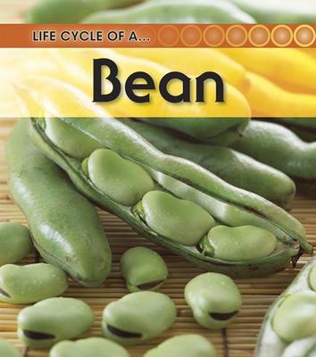 Book cover for Broad Bean