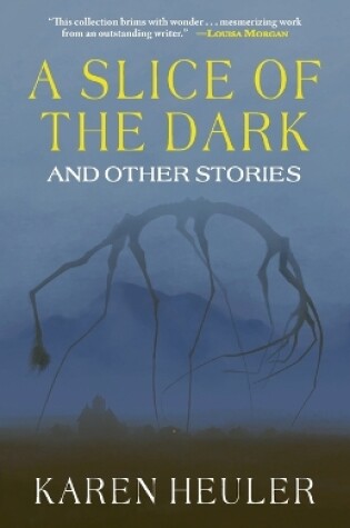 Cover of A Slice of the Dark and Other Stories