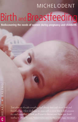 Book cover for Birth and Breastfeeding