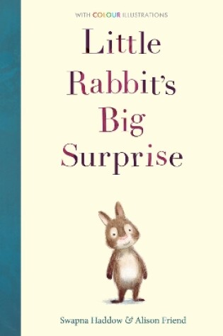 Cover of Little Rabbit's Big Surprise